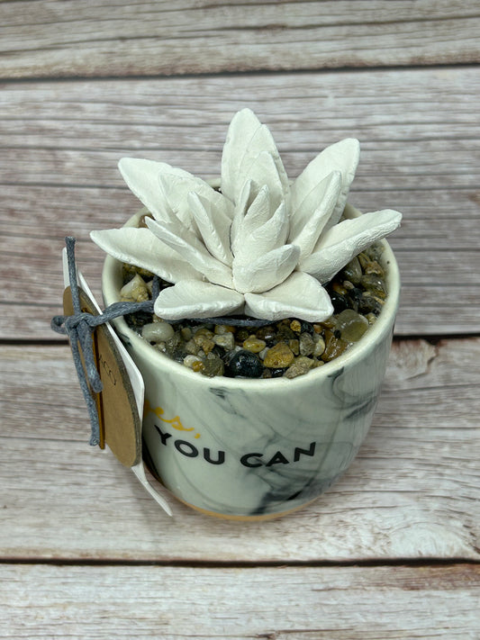 Yes, You Can Succulent Diffuser