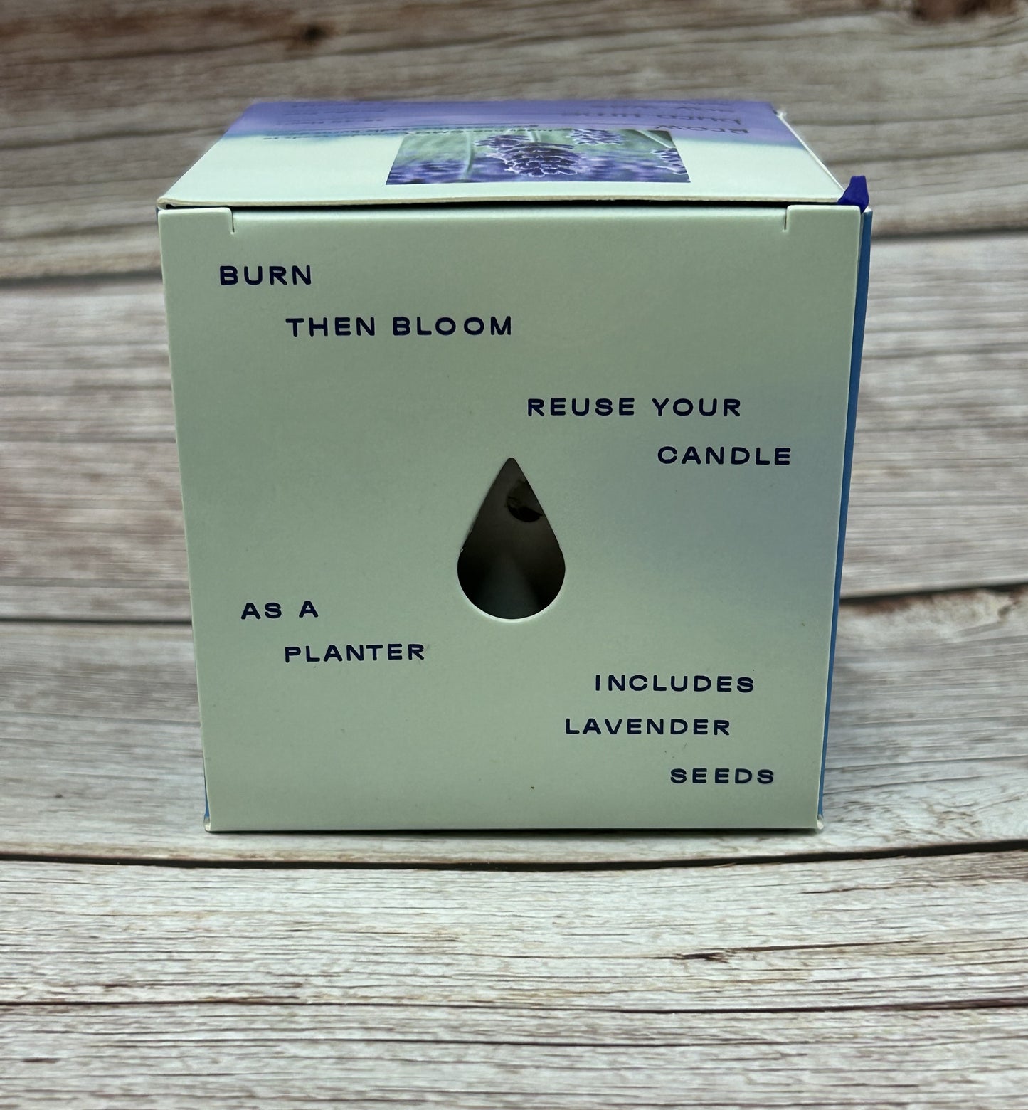 Violet Hour Candle + Planter Set