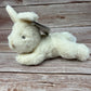 You Belong Here Baby Plush + Book Set