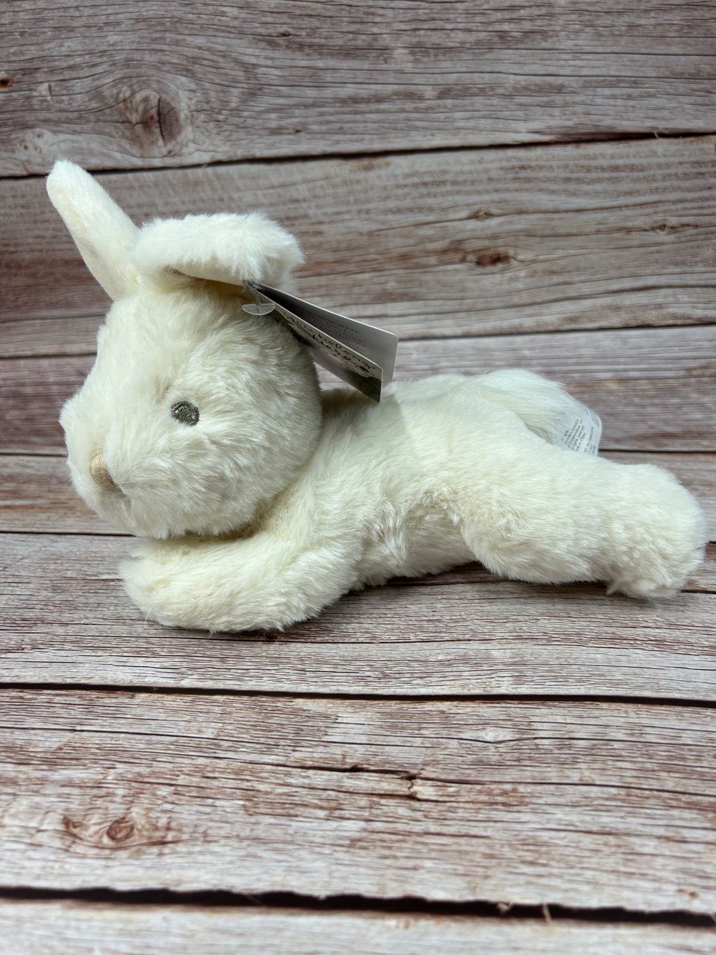 You Belong Here Baby Plush + Book Set