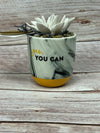 Yes, You Can Succulent Diffuser
