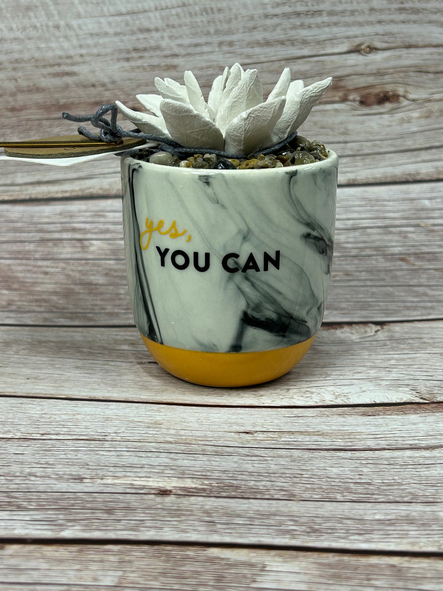 Yes, You Can Succulent Diffuser