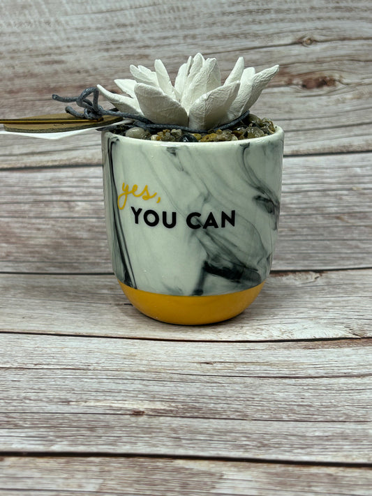 Yes, You Can Succulent Diffuser